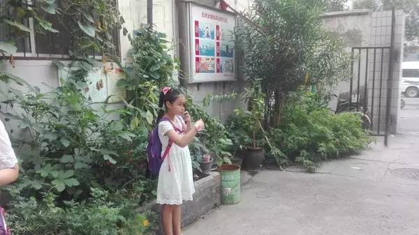 “紅色送光明”活動(dòng)走進(jìn)省醫(yī)藥管理局家屬院