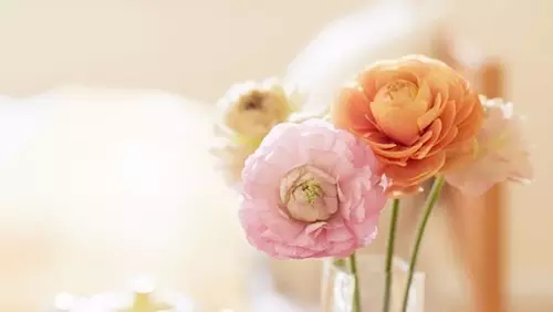 【送平板了！】不為什么，就是想感恩！