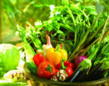 愛眼食療秘籍，吃出健康雙眼