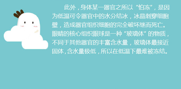 告訴你個“小秘密”：為什么眼睛不怕冷？