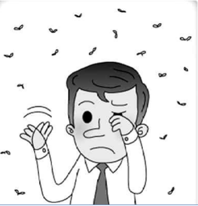 眼前總有小黑影？小心飛蚊癥！