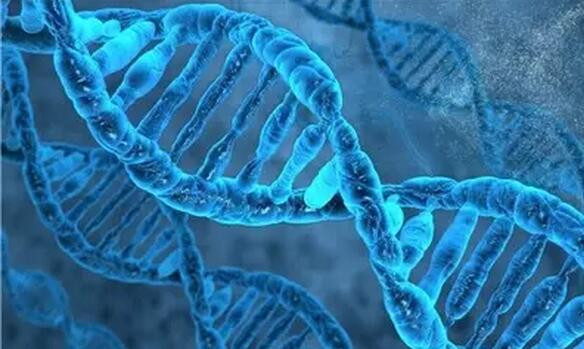 近視超過600度以上？這7條“錦囊”請收好！